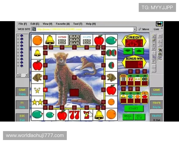 水果老虎机777单机游戏下载最新版本，轻松体验真实赌场乐趣