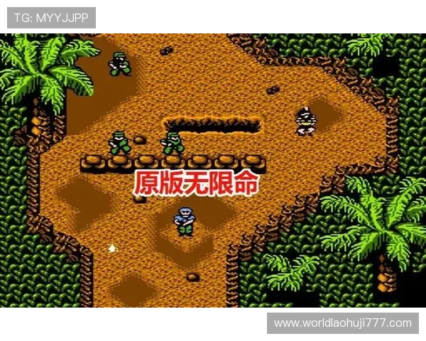 FC游戏ROM大全免费下载资源，满足玩家多样化的经典游戏需求